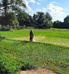 Expédition en terre laotienne