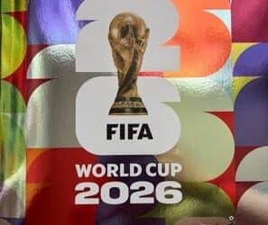 L’histoire commune de Panini et de la FIFA